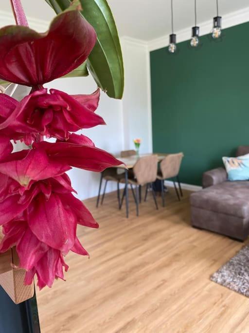 2-Zimmer Zentral In Ferdinandshof, Wlan Modern Ngoại thất bức ảnh