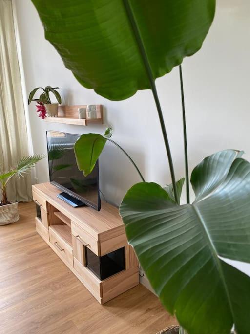 2-Zimmer Zentral In Ferdinandshof, Wlan Modern Ngoại thất bức ảnh