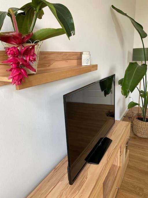 2-Zimmer Zentral In Ferdinandshof, Wlan Modern Ngoại thất bức ảnh