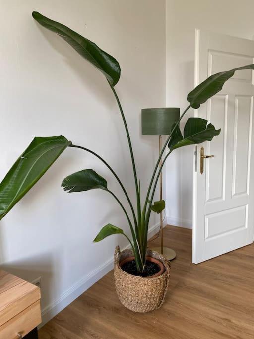 2-Zimmer Zentral In Ferdinandshof, Wlan Modern Ngoại thất bức ảnh