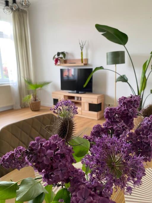 2-Zimmer Zentral In Ferdinandshof, Wlan Modern Ngoại thất bức ảnh
